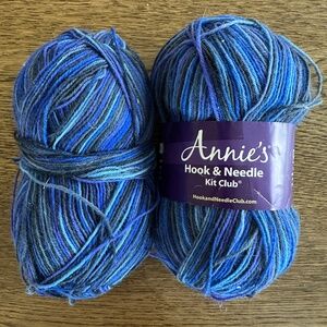 Annies Hook & Needle Club Wool Yarn